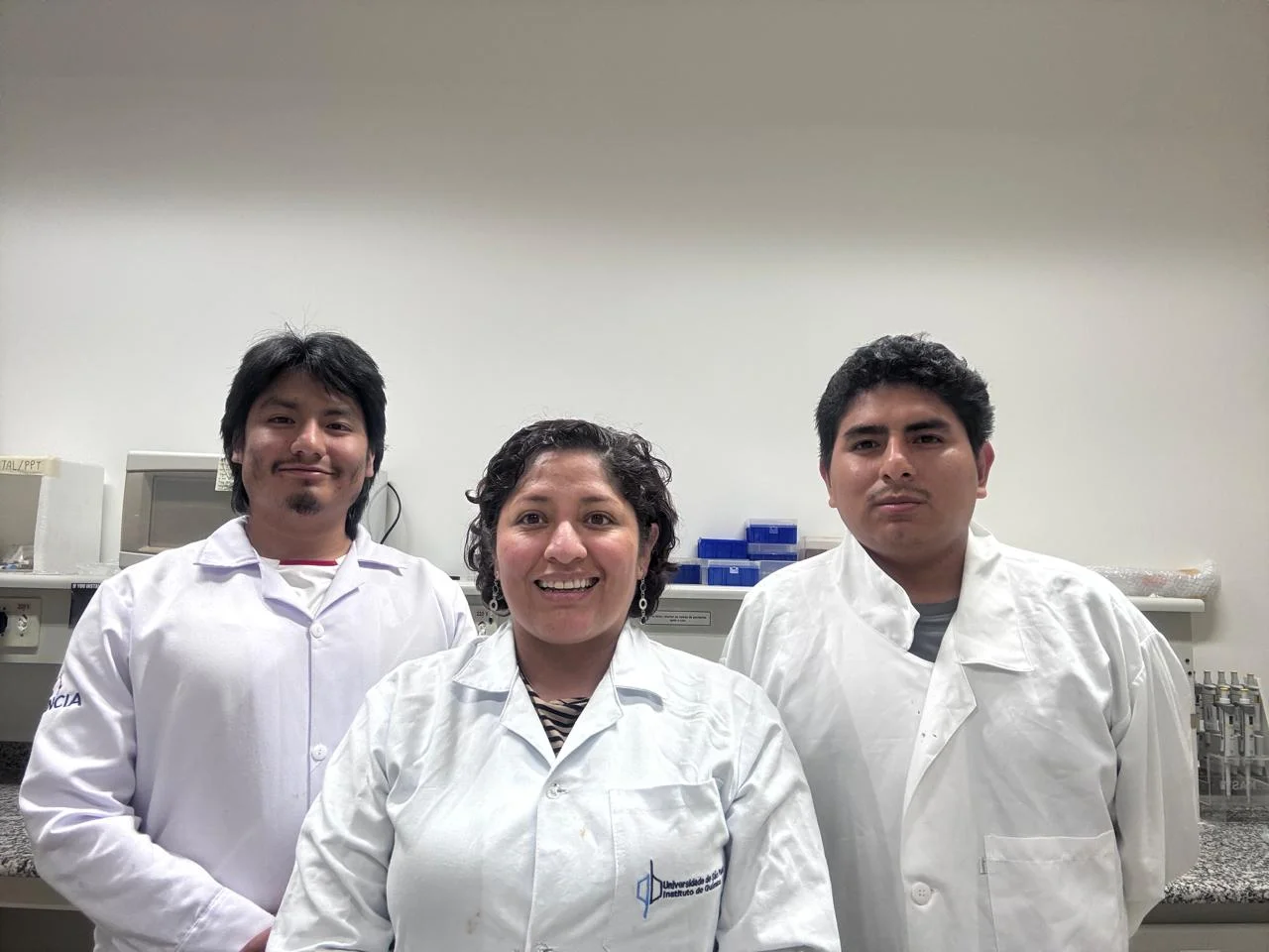 Áreas de Investigación 2