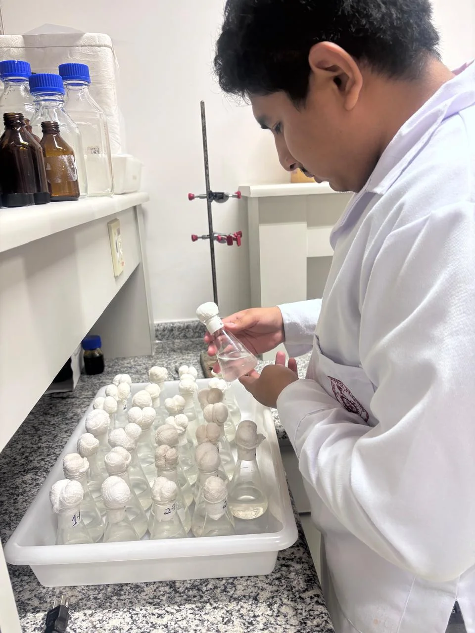 Áreas de Investigación 5