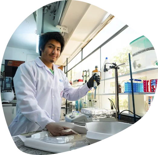 Ingeniería de Materiales y Biopolímeros