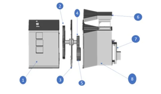 De plumas a fármacos: una nueva propuesta para tratar la sobrecarga de hierro desde el laboratorio BIOMET