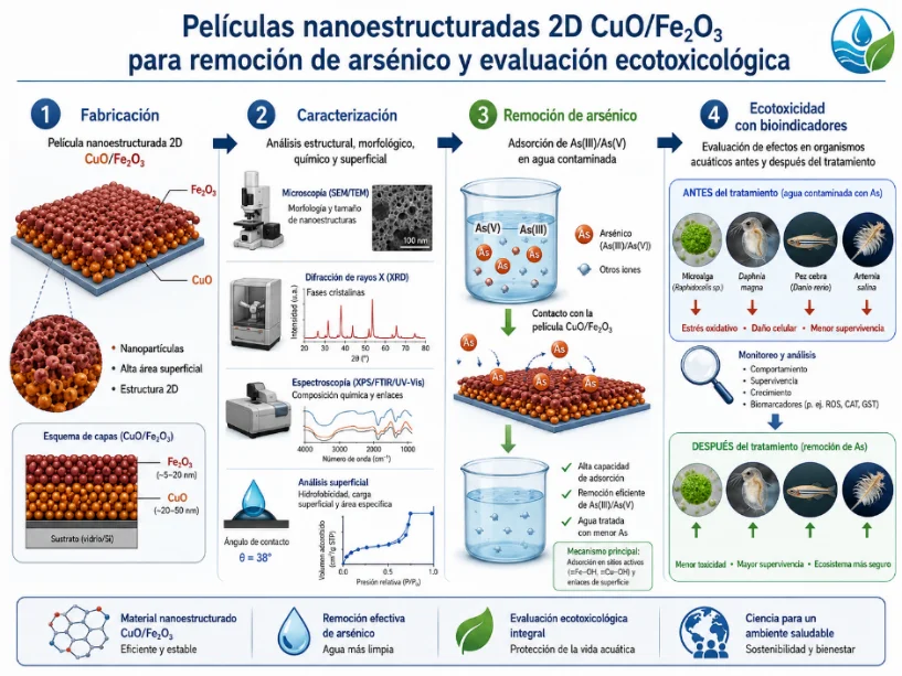 Fabricación y caracterización de películas nanoestructuradas 2D de óxido de hierro sobre óxido de cobre (CuO/Fe₂O₃). Aplicación en remoción de arsénico y estudio de su ecotoxicidad en sistemas acuáticos a través de bioindicadores