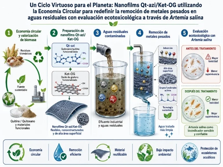 Un ciclo virtuoso para el planeta: Nanofilms Qt-azi/Ket-OG utilizando la economía circular para redefinir la remoción de metales pesados en aguas residuales con evaluación ecotoxicológica a través de Artemia salina